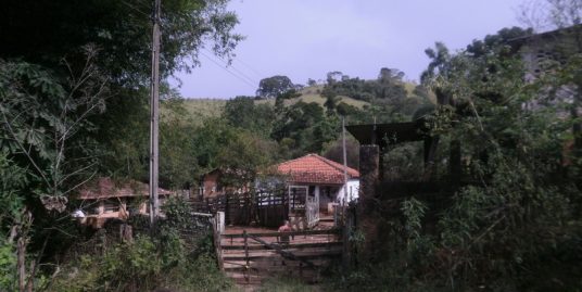 Sítio 558