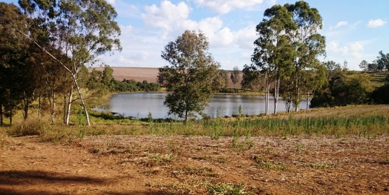 WhatsApp Image 2018-09-24 at 16.27.43(1)