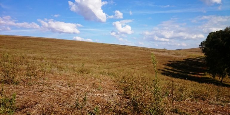 WhatsApp Image 2018-09-24 at 16.27.43(2)