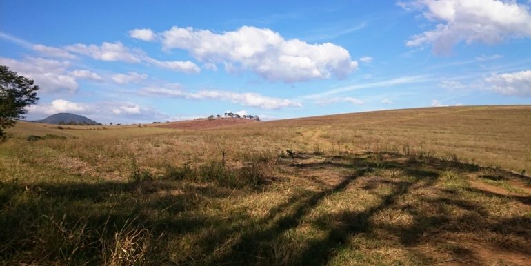 WhatsApp Image 2018-09-24 at 16.27.43(5)