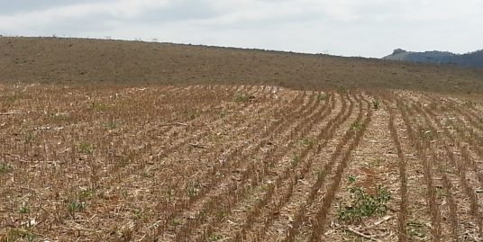 Fazenda 15000356