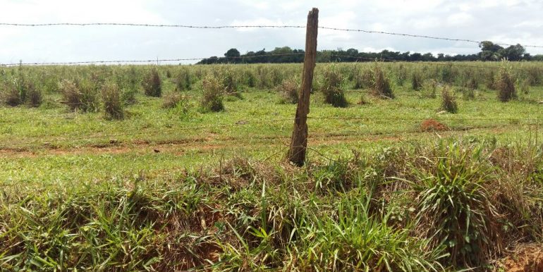 WhatsApp Image 2018-09-26 at 09.16.11