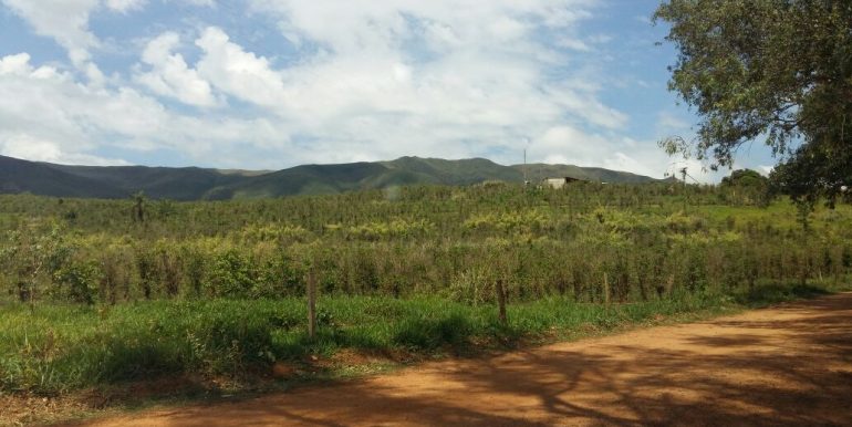 WhatsApp Image 2018-09-26 at 09.16.11(1)