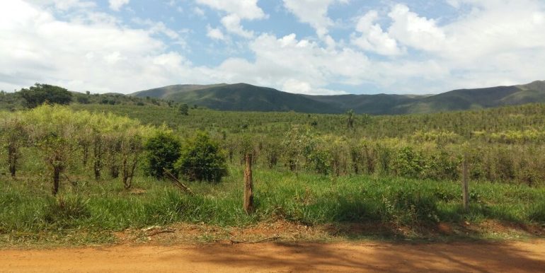 WhatsApp Image 2018-09-26 at 09.16.11(2)