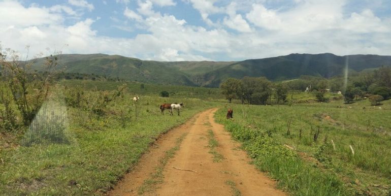 WhatsApp Image 2018-09-26 at 09.16.11(3)