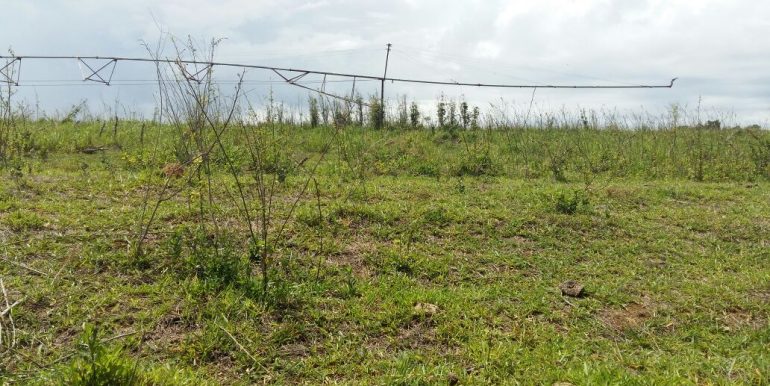 WhatsApp Image 2018-09-26 at 09.16.12(1)