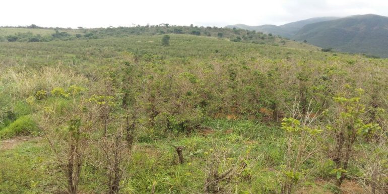 WhatsApp Image 2018-09-26 at 09.16.12(4)