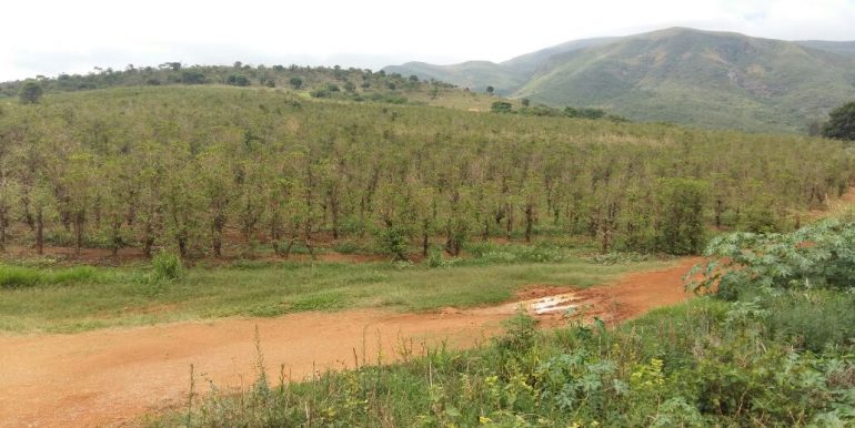 WhatsApp Image 2018-09-26 at 09.16.13