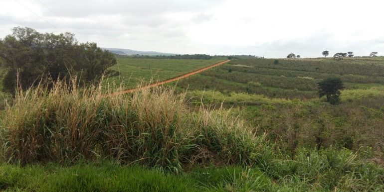 WhatsApp Image 2018-09-26 at 09.16.13(3)