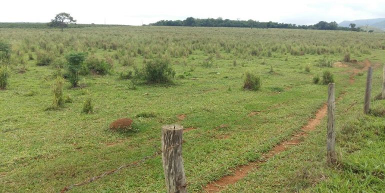 WhatsApp Image 2018-09-26 at 09.16.14