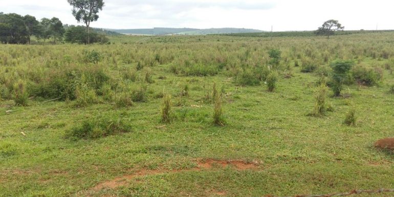 WhatsApp Image 2018-09-26 at 09.16.14(1)