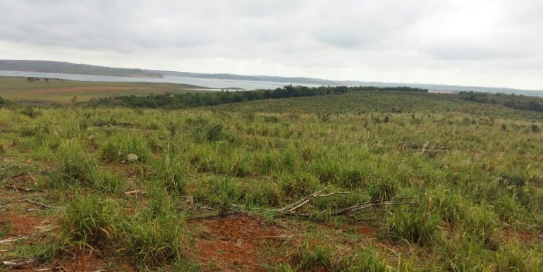 WhatsApp Image 2018-09-26 at 09.16.14(3)