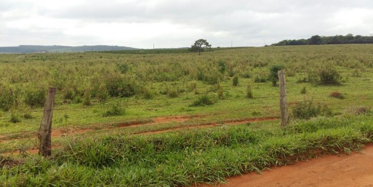 WhatsApp Image 2018-09-26 at 09.16.14(5)