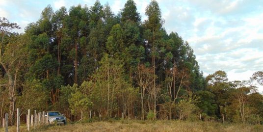 Terreno Rural 300413165