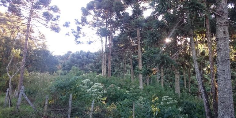 WhatsApp Image 2018-09-27 at 18.28.46(3)