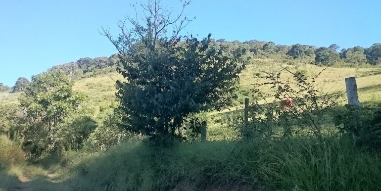 WhatsApp Image 2018-09-27 at 18.28.48(1)