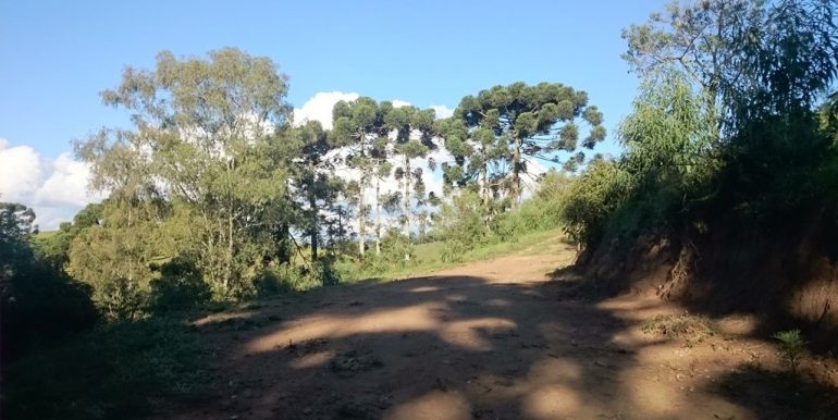 WhatsApp Image 2018-09-27 at 18.28.48(3)