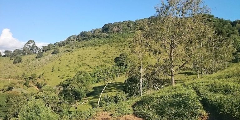 WhatsApp Image 2018-09-27 at 18.28.49