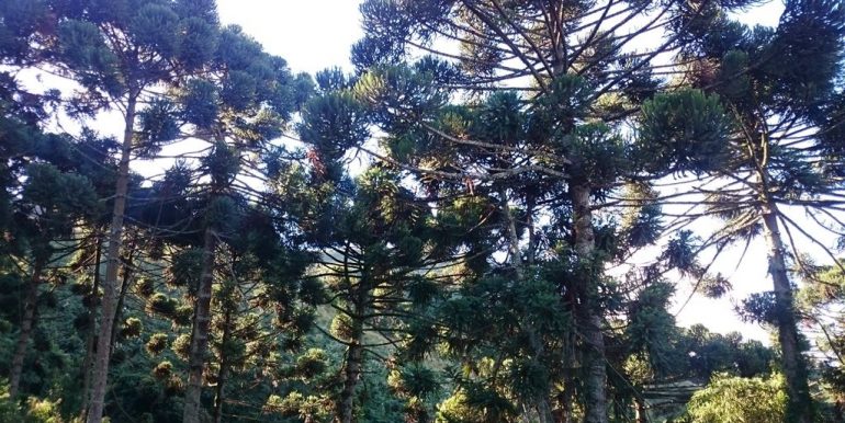 WhatsApp Image 2018-09-27 at 18.28.49(1)