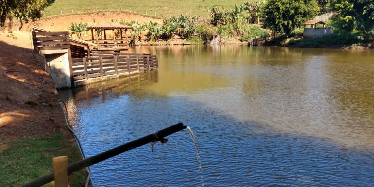 WhatsApp Image 2018-10-11 at 20.12.20(1)