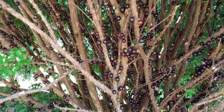 WhatsApp Image 2018-10-11 at 20.12.20(2)