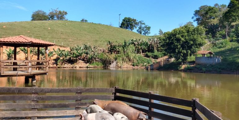 WhatsApp Image 2018-10-11 at 20.12.20(3)