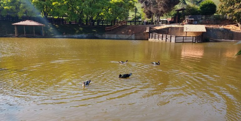 WhatsApp Image 2018-10-11 at 20.12.21