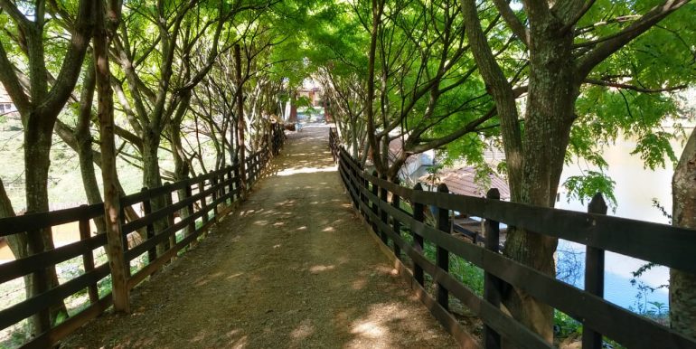 WhatsApp Image 2018-10-11 at 20.12.23(1)