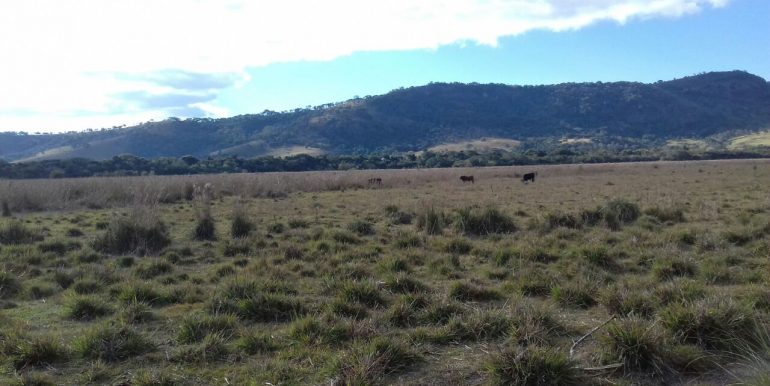 WhatsApp Image 2018-10-21 at 09.55.18(4)