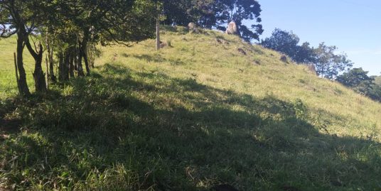 Terreno – 1,5 alqueiro x 200mil² em Estiva