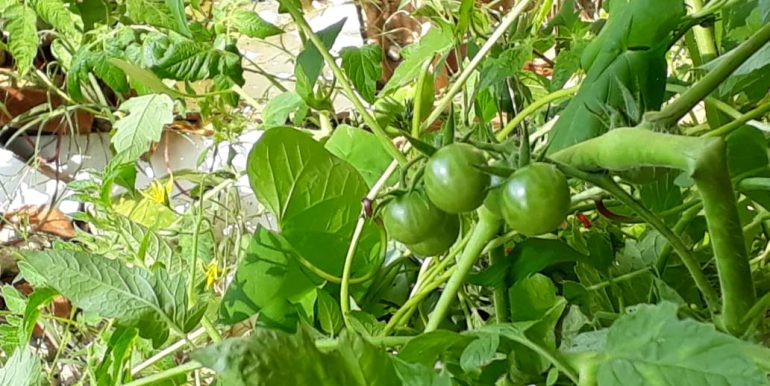 WhatsApp Image 2021-05-31 at 15.00.10 (4)