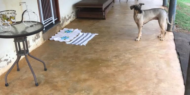 WhatsApp Image 2021-06-14 at 11.38.46 (4)