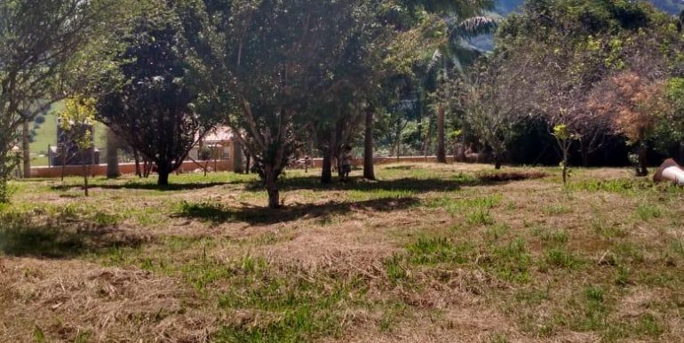 WhatsApp Image 2021-06-14 at 11.39.46 (1)