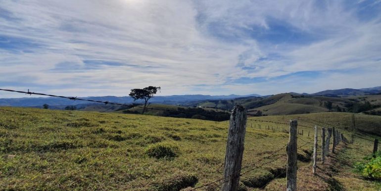 WhatsApp Image 2021-06-14 at 11.39.46 (3)