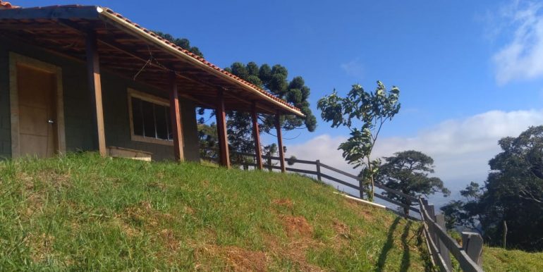IMG-20240610-WA0036