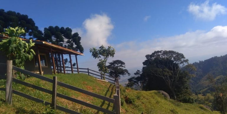 IMG-20240610-WA0041