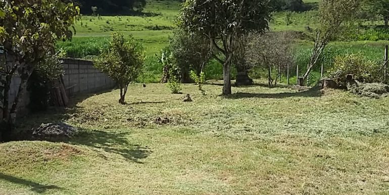 IMG-20240610-WA0100